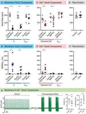 Drivers of Sinoatrial Node Automaticity in Zebrafish: Comparison With Mechanisms of Mammalian Pacemaker Function